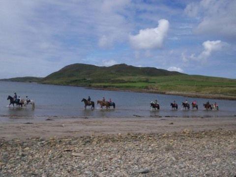 Decourcey'S Hazelbrook Farmhouse B&B Cleggan Esterno foto
